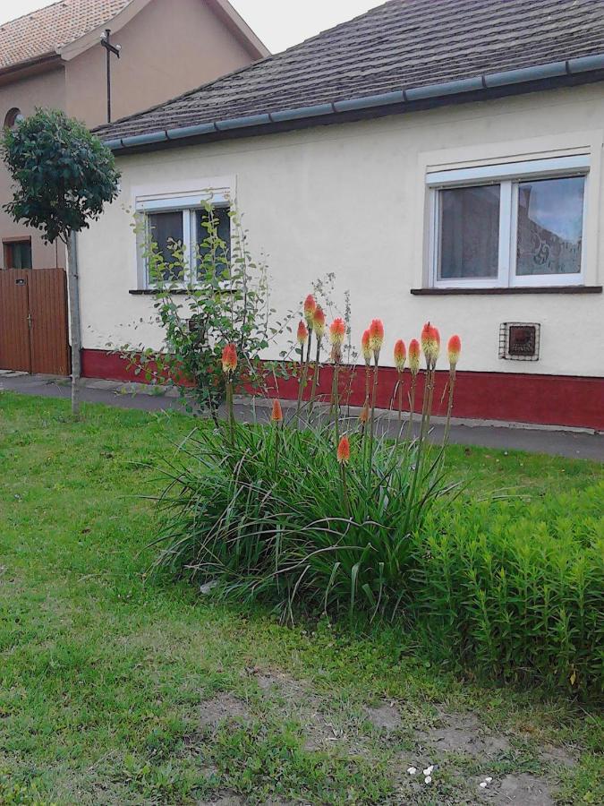 Toth Maganszallas Hajduszoboszlo Apartment Luaran gambar